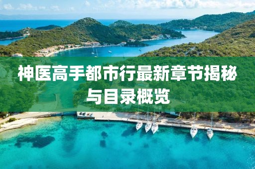 神医高手都市行最新章节揭秘与目录概览