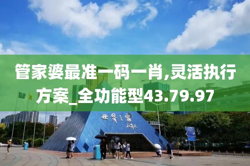 管家婆最准一码一肖,灵活执行方案_全功能型43.79.97