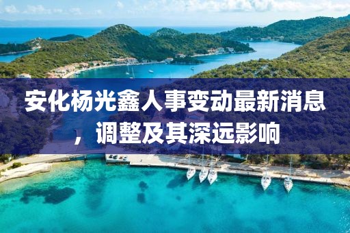 安化杨光鑫人事变动最新消息，调整及其深远影响