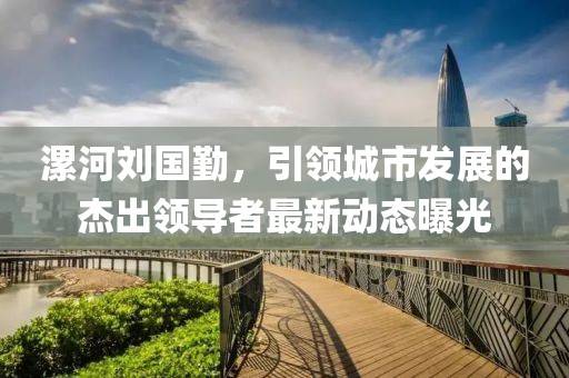 漯河刘国勤，引领城市发展的杰出领导者最新动态曝光