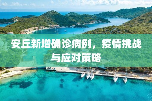 安丘新增确诊病例，疫情挑战与应对策略