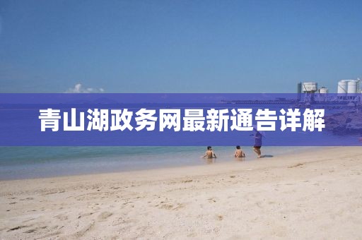 青山湖政务网最新通告详解