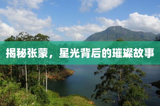 揭秘张蒙，星光背后的璀璨故事