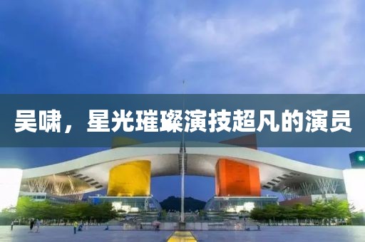 吴啸，星光璀璨演技超凡的演员