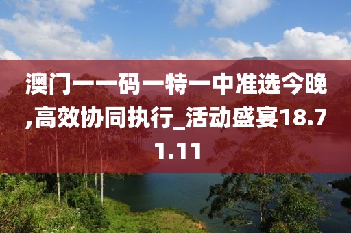 澳门一一码一特一中准选今晚,高效协同执行_活动盛宴18.71.11