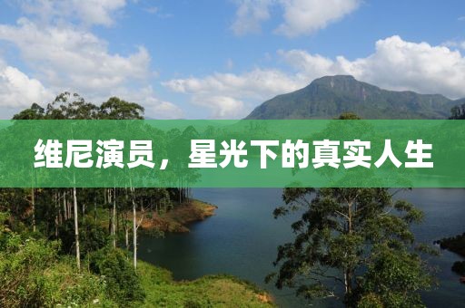 维尼演员，星光下的真实人生