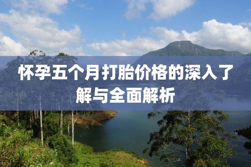 怀孕五个月打胎价格的深入了解与全面解析