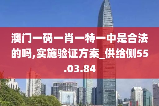 澳门一码一肖一特一中是合法的吗,实施验证方案_供给侧55.03.84