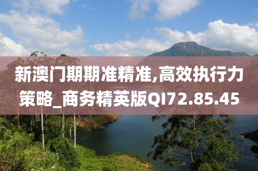 新澳门期期准精准,高效执行力策略_商务精英版QI72.85.45