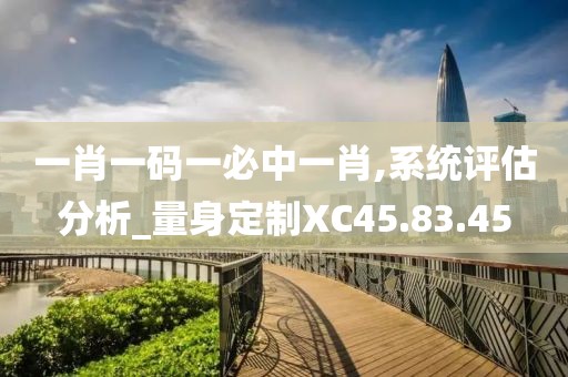 一肖一码一必中一肖,系统评估分析_量身定制XC45.83.45