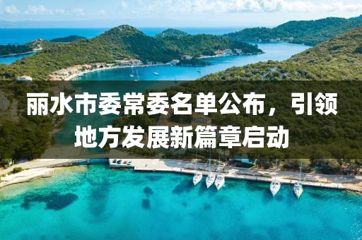丽水市委常委名单公布，引领地方发展新篇章启动