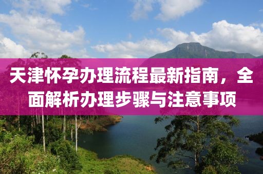 天津怀孕办理流程最新指南，全面解析办理步骤与注意事项