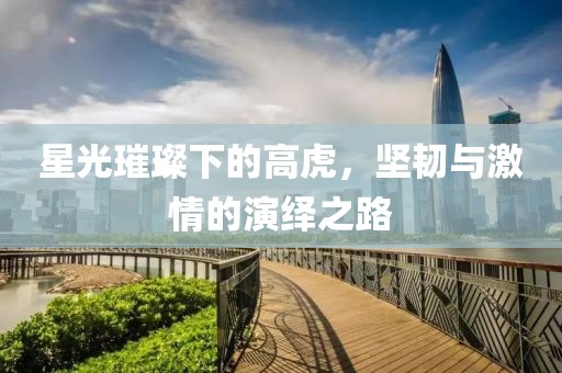 星光璀璨下的高虎，坚韧与激情的演绎之路