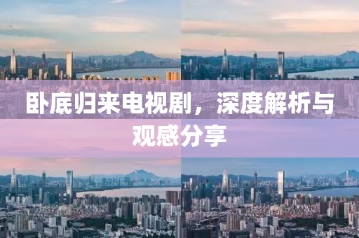 卧底归来电视剧，深度解析与观感分享