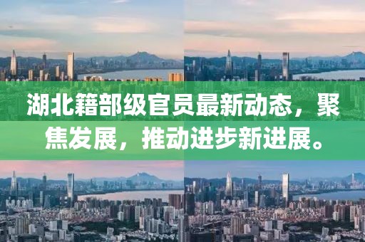 湖北籍部级官员最新动态，聚焦发展，推动进步新进展。
