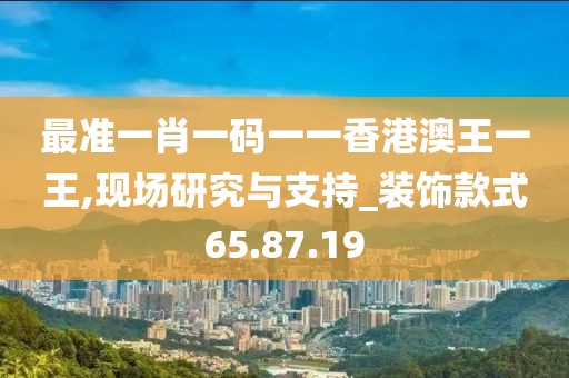 最准一肖一码一一香港澳王一王,现场研究与支持_装饰款式65.87.19