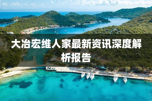 大冶宏维人家最新资讯深度解析报告