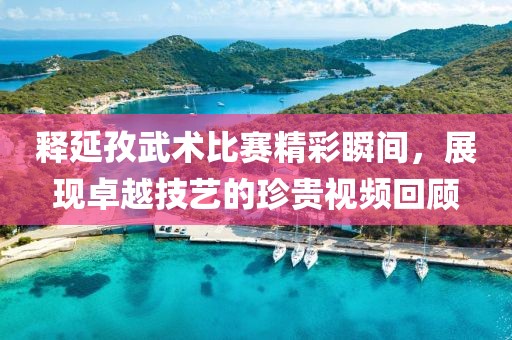 释延孜武术比赛精彩瞬间，展现卓越技艺的珍贵视频回顾