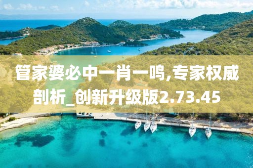 管家婆必中一肖一鸣,专家权威剖析_创新升级版2.73.45