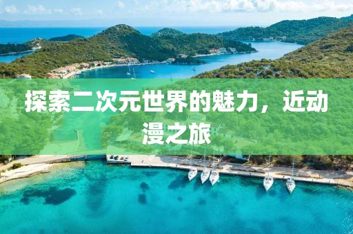 探索二次元世界的魅力，近动漫之旅