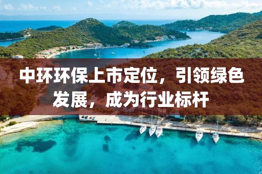 中环环保上市定位，引领绿色发展，成为行业标杆