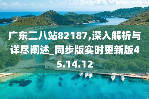 广东二八站82187,深入解析与详尽阐述_同步版实时更新版45.14.12