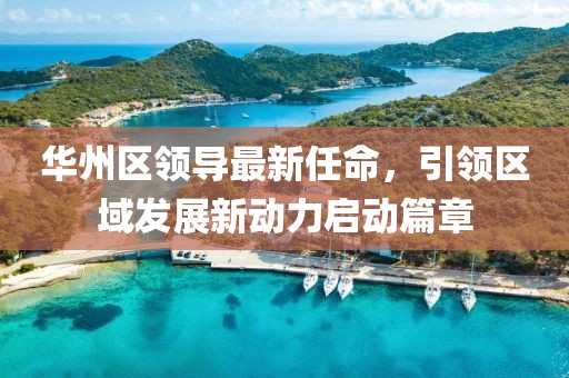华州区领导最新任命，引领区域发展新动力启动篇章