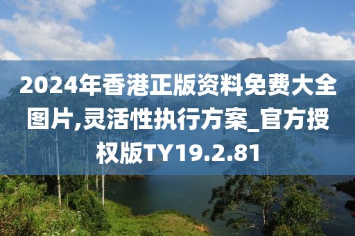 2024年香港正版资料免费大全图片,灵活性执行方案_官方授权版TY19.2.81