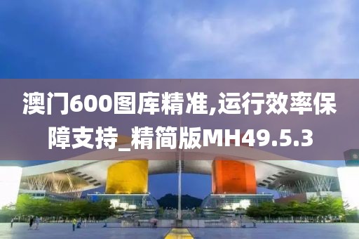 澳门600图库精准,运行效率保障支持_精简版MH49.5.3