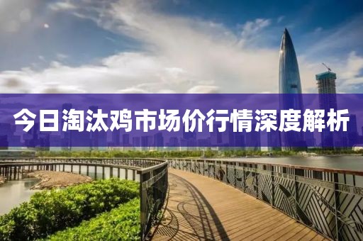 今日淘汰鸡市场价行情深度解析