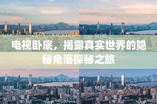 电视卧底，揭露真实世界的隐秘角落探秘之旅