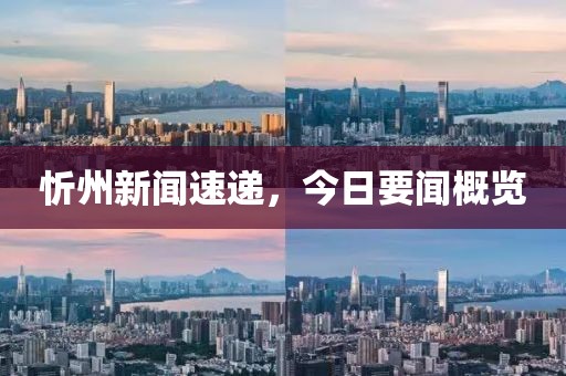 忻州新闻速递，今日要闻概览