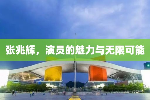 张兆辉，演员的魅力与无限可能