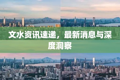 文水资讯速递，最新消息与深度洞察