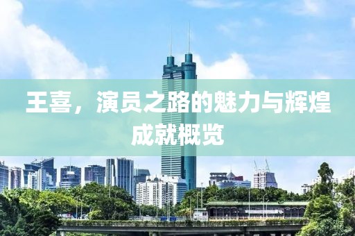 王喜，演员之路的魅力与辉煌成就概览