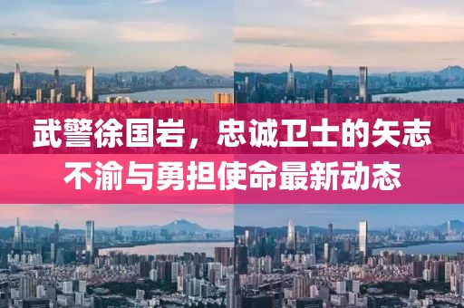 武警徐国岩，忠诚卫士的矢志不渝与勇担使命最新动态