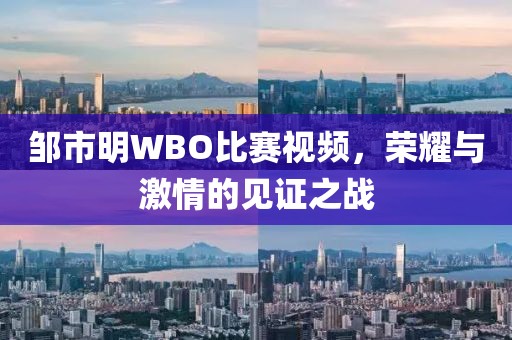 邹市明WBO比赛视频，荣耀与激情的见证之战