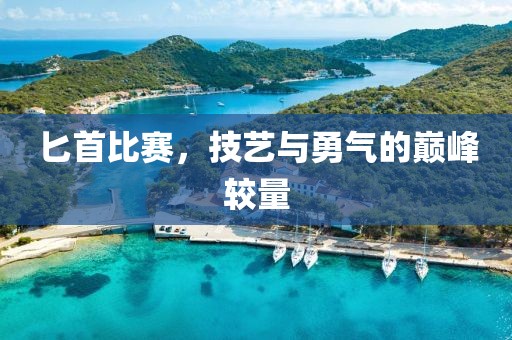 匕首比赛，技艺与勇气的巅峰较量