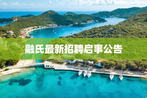 融氏最新招聘启事公告