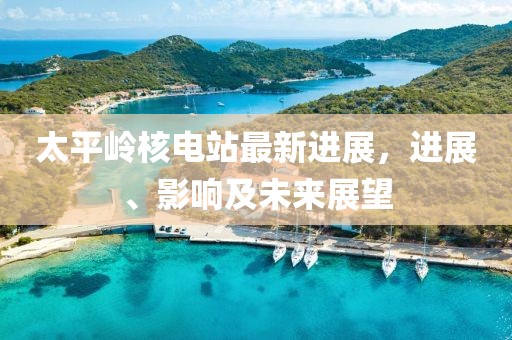 太平岭核电站最新进展，进展、影响及未来展望