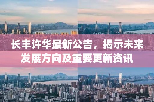 长丰许华最新公告，揭示未来发展方向及重要更新资讯