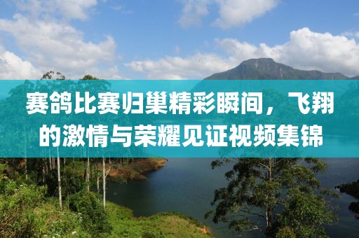 赛鸽比赛归巢精彩瞬间，飞翔的激情与荣耀见证视频集锦