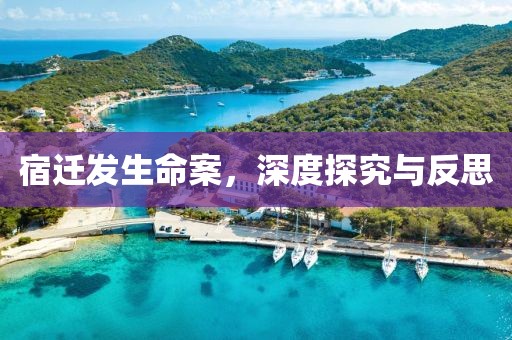 宿迁发生命案，深度探究与反思