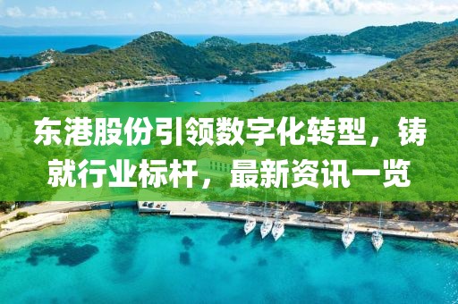 东港股份引领数字化转型，铸就行业标杆，最新资讯一览