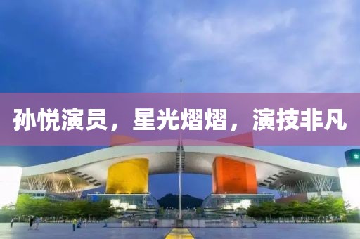 孙悦演员，星光熠熠，演技非凡