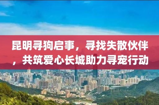 昆明寻狗启事，寻找失散伙伴，共筑爱心长城助力寻宠行动