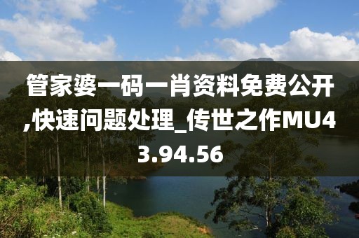 管家婆一码一肖资料免费公开,快速问题处理_传世之作MU43.94.56