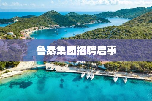 鲁泰集团招聘启事