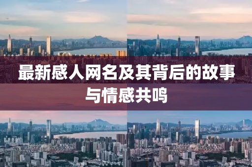 最新感人网名及其背后的故事与情感共鸣