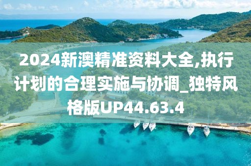 2024新澳精准资料大全,执行计划的合理实施与协调_独特风格版UP44.63.4